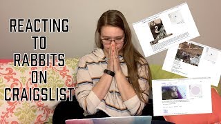 CRAIGSLIST REACTION: Reacting to Rabbit Postings on Craigslist Part 1