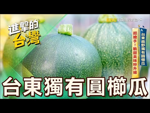 【新鮮必吃】台東鹿野獨有圓櫛瓜 超搶手！脆甜美味秒升級 第523集《進擊的台灣》part5｜陳怡廷 (圓櫛瓜)