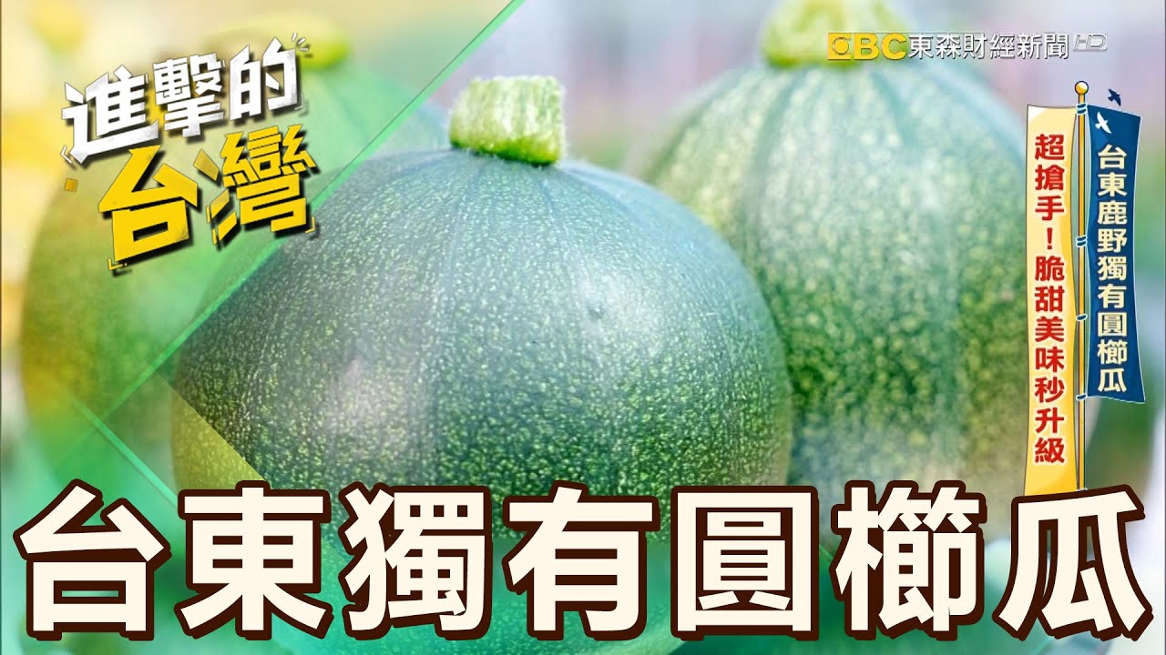 【新鮮必吃】台東鹿野獨有圓櫛瓜 超搶手！脆甜美味秒升級 第523集《進擊的台灣》part5｜陳怡廷 (圓櫛瓜) - YouTube