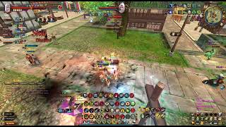 AGE OF WUSHU - P WAR