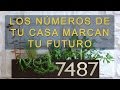 Los números de tu casa marcan tu futuro: salud, dinero, amor