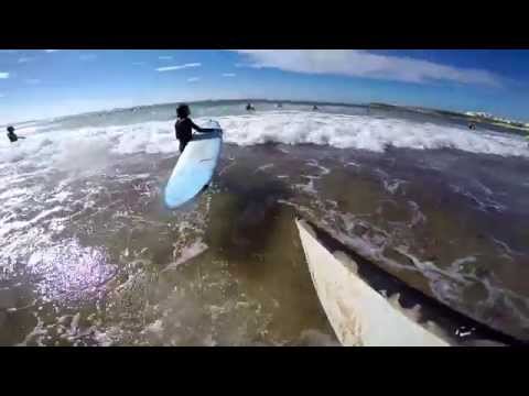 Surfugal