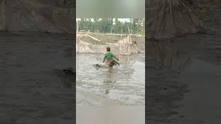 Little kid catch big fish in mud