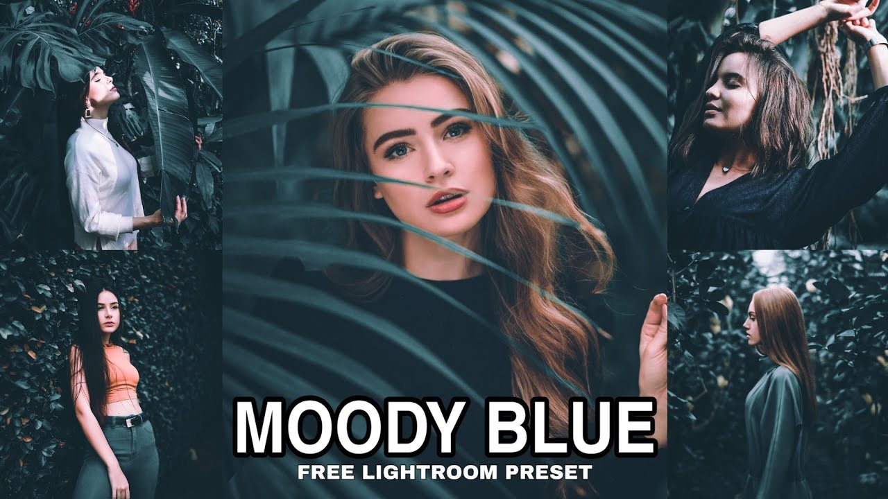 Moody Blue Preset - Lightroom Mobile | Lightroom DNG preset | Lightroom Tutorial