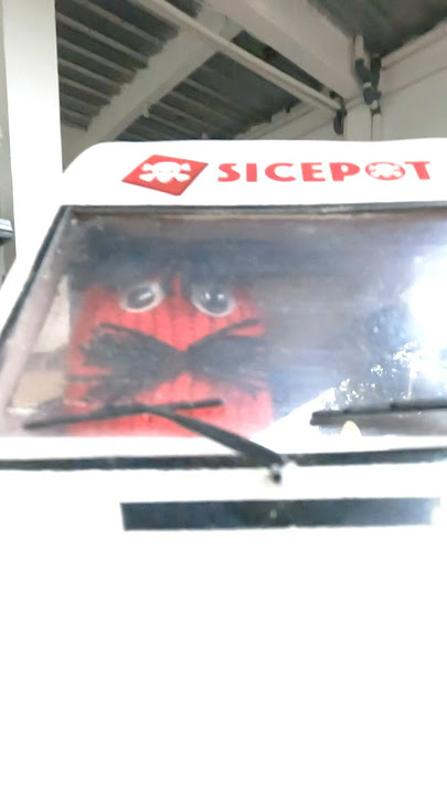 Pak kumis #shorts #video #music #sicepot