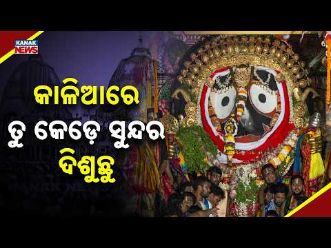 Golden Adornment of the Lord Jagannath Captivates Devotees | Suna Besha 2026