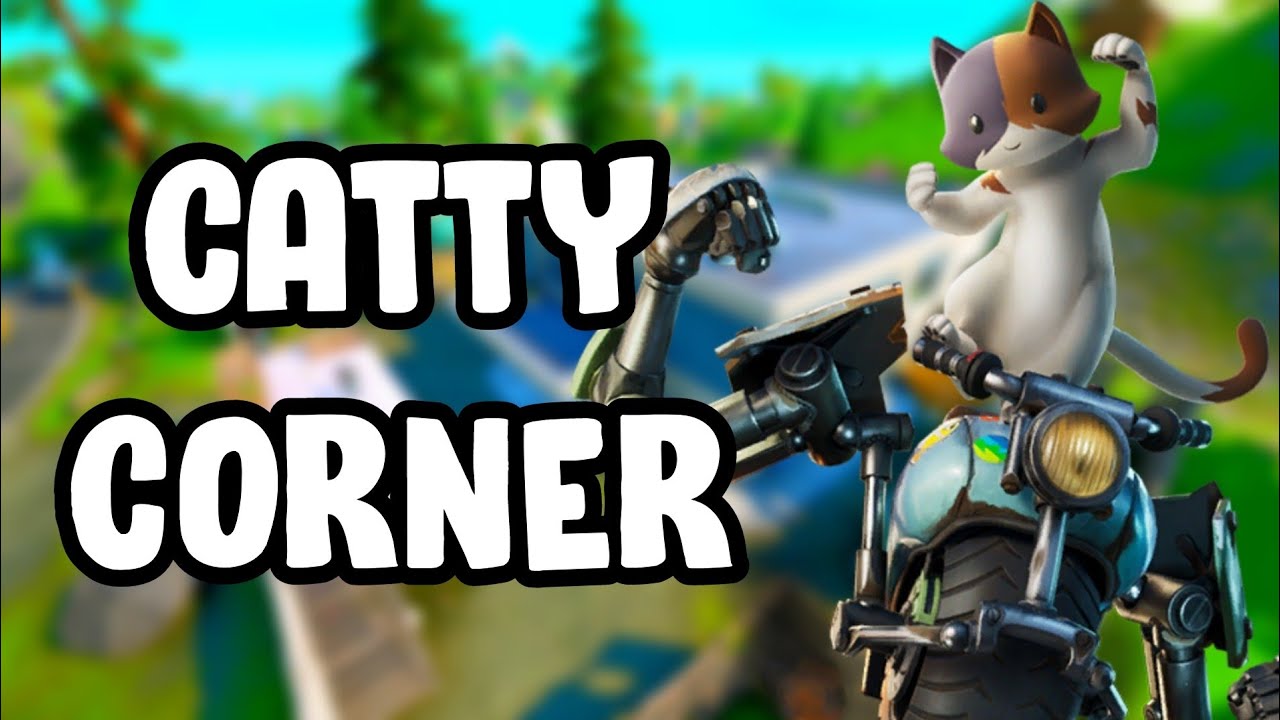 I Dropped Catty Corner 100 Times And This Is What Happened Fortnite i-dropped-catty-corner-100-times-and-this-is-what-happened-fortnite