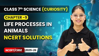 Life Processes in Animals - NCERT Solutions | Ch 9 | Class 7 Science Curiosity | CBSE 2025-26