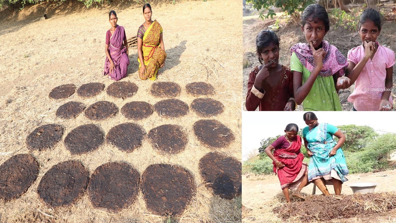 கிராம மக்களின் பழமையான பல்பொடி, விபூதி,சமையலுக்கு முக்கியமான எரிபொருளான வரட்டி செய்முறை