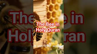What The Quran Says About Bees Surah An-Nahl 166869