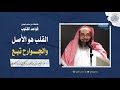 القلب هو الأصل والجوارح تبع الشيخ أ د صالح بن عبدالعزيز سندي