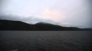 DSC 0996