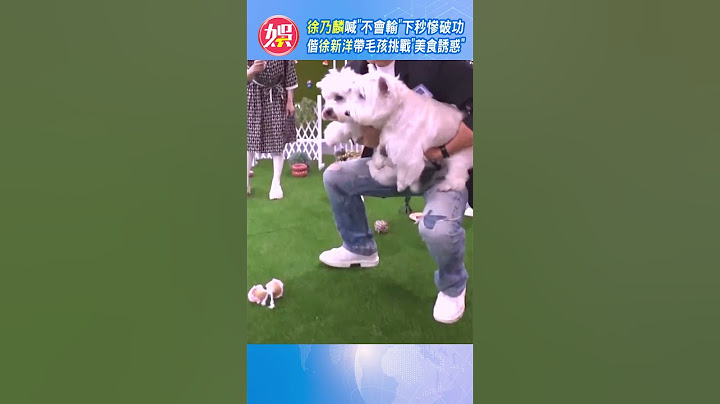 徐乃麟喊「不會輸」下秒慘破功　偕徐新洋帶毛孩挑戰「美食誘惑」｜TVBS新聞  #shorts  @TVBSNEWS01