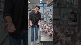 Animal Handling Lecture 🐀 | Lab Techniques Explained 🩺 #shorts #neet #aiims #trending #reels #job 🐁