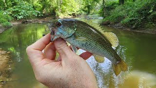 Creek Fishing by Tanner Flowers 619 views 5 days ago 5 minutes, 15 seconds