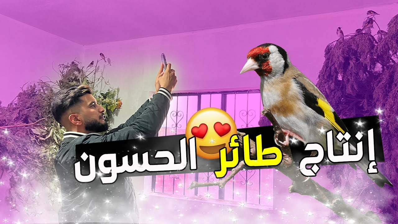 أسرار نجاح إنتاج الحسون 🐣😍 زيارة عند أخ ياسين🦜