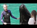 Animaux au marineland dantibes  france 20 avril 2023 phoques otaries dauphins orques etc