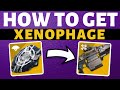 Destiny 2 - HOW TO GET XENOPHAGE!  Best Exotic DPS Weapon?