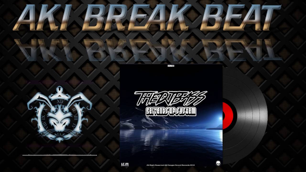 TheDJBass - Servents Of System (Original Mix) Danger Sound Records