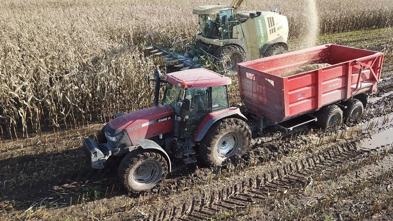 Case IH MXM 120 Gets TOTALLY STUCK in MUDDY WATERHOLE During Corn Chopping 2019 | DK Agri