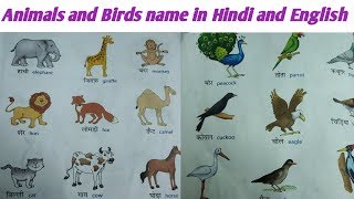 Animals and birds name in Hindi and English//Names of Animals and Birds//  #krishandkrishonly - YouTube