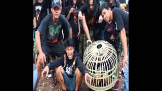 BLORONG - Serakah Berdasi