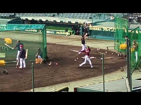 東北楽天ゴールデンイーグルス試合前打撃練習22.3.4阪神甲子園球場 OP戦@ｱｲﾋﾞｰｼｰﾄ