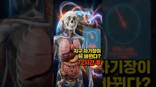 자기장이 뒤바뀐다면?! 72시간 만에 끝나는 현대 문명