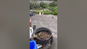 What did they do to annoy this bee…