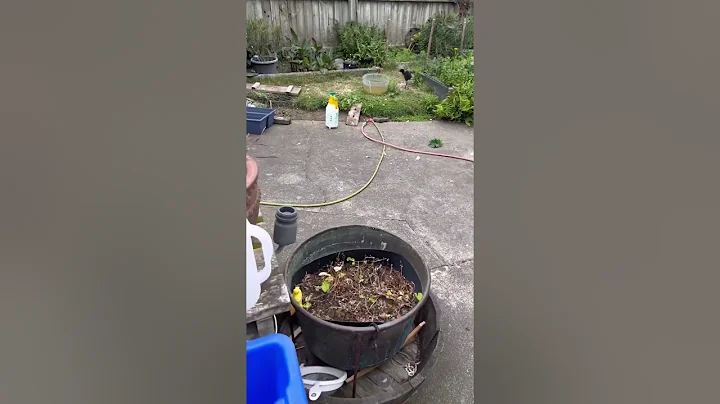 What did they do to annoy this bee…