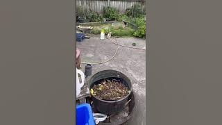 What did they do to annoy this bee…