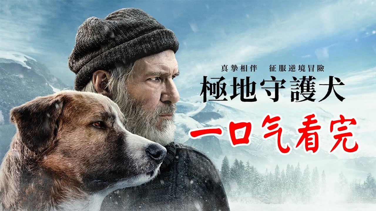 極地守護犬, 一口气看完 《極地守護犬 The Call of the Wild》
