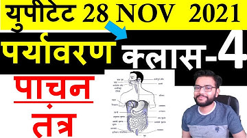 UPTET 2021 ENVIRONMENT पाचन तंत्र | UPTET EVS SCIENCE DIGESTIVE SYSTEM |  CLASS-4