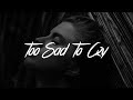 Sasha Sloan - Too Sad To Cry (Lyrics)