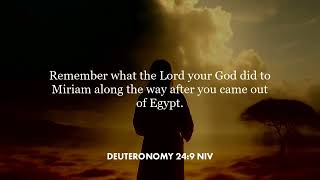 Deuteronomy 24:9 (NIV)