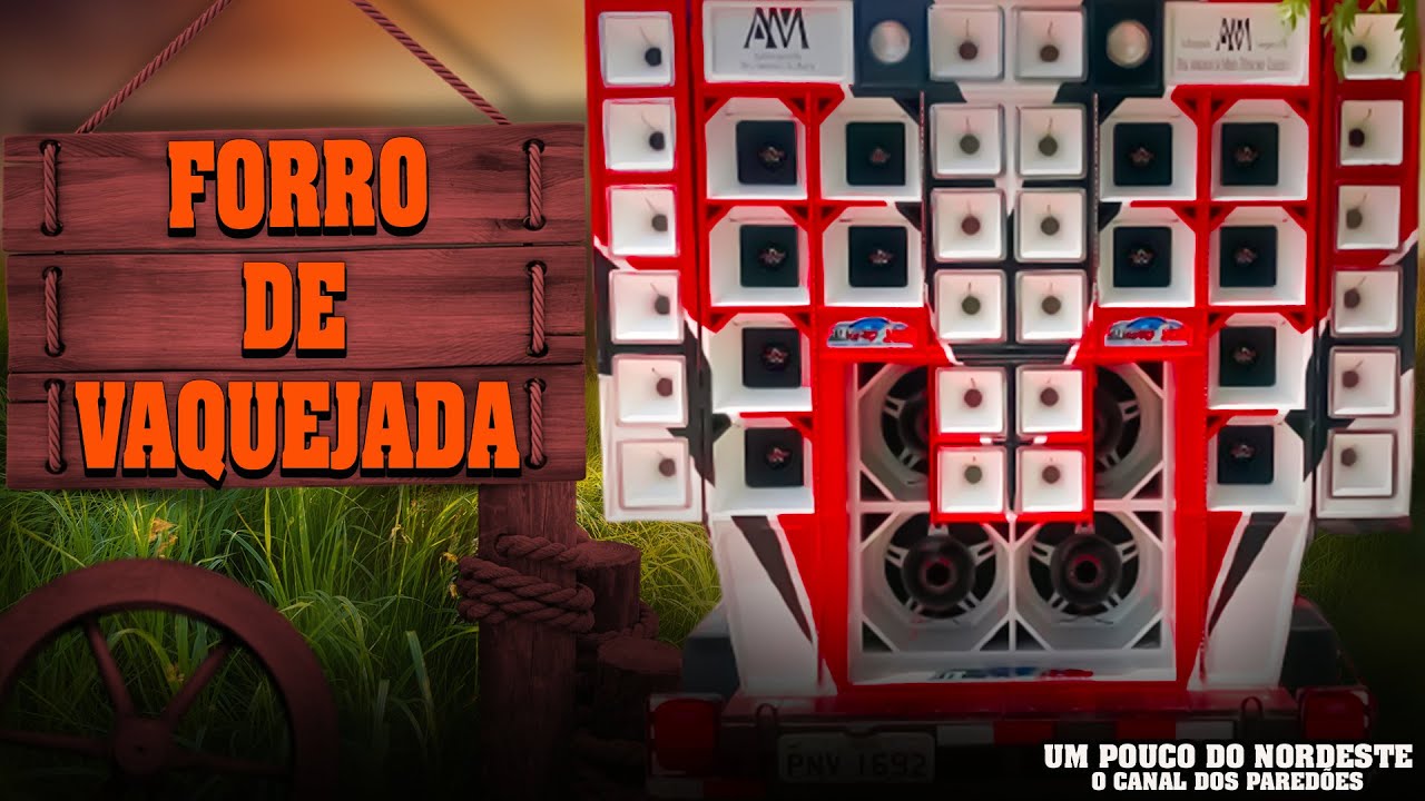 FORRÓ DE AÇOITE SÓ VAQUEJADA MÉDIOS NO TALO PRA PAREDÃO