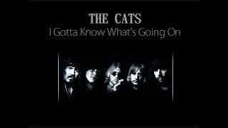 The Cats - I Gotta Know What's Going On