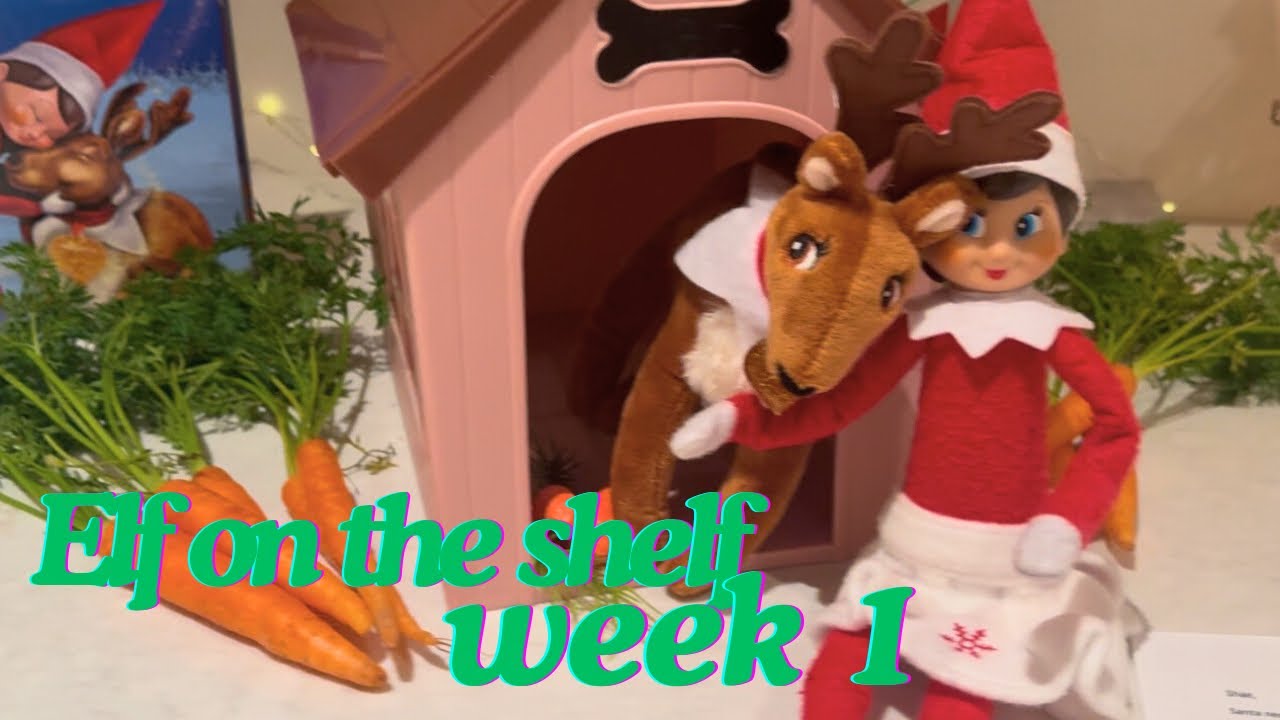 Elf on the shelf week 1 (2024) - YouTube