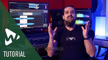 Montage Inspector | New Features in WaveLab 10