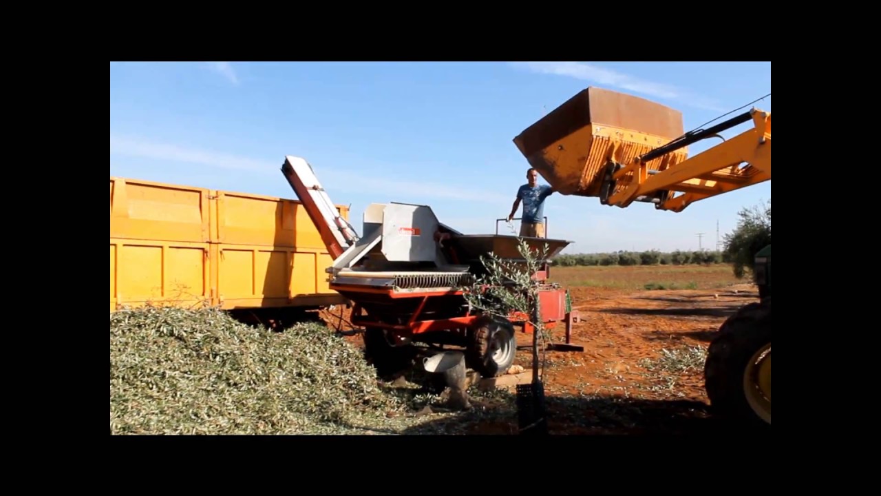 LIMPIADORA 3G EN VERDEO