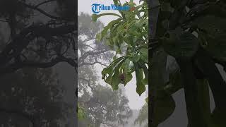 PERINGATAN DINI CUACA BESOK RABU 25 FEBRUARI 2026
