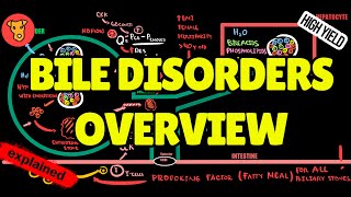 Biliary Disorders EXPLAINED: Overview, Diagnosis & Management (USMLE High-Yield Beginner’s Guide)