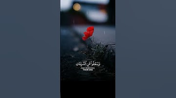 قرآن كريم راحة نفسية وسكينة إسلام صبحي #المصحف