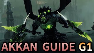 [Lost Ark] Akkan Legion Raid Guide Gate1