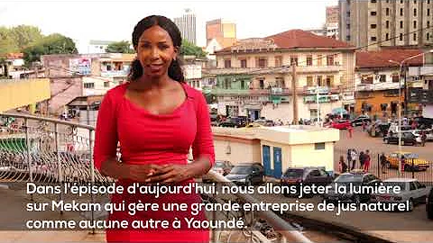Maxine Moffett Bridge Africa Ventures CEO talks on...