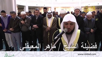 تلاوة نديّة للقارئ ماهر المعيقلي للآيات 284 / 286 من سورة البقرة