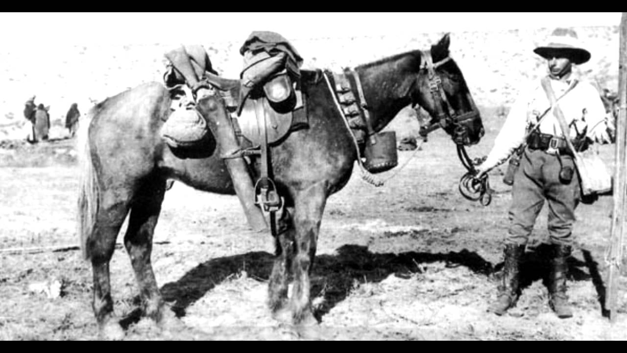 Starboard Cannons - Horses Stay Behind