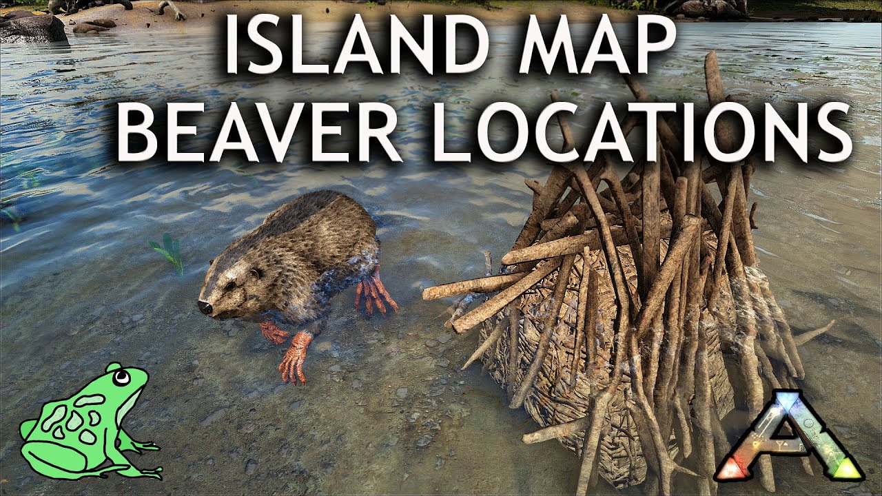 Beaver Dam locations on the Island Map: Ark Survival Evolved ...