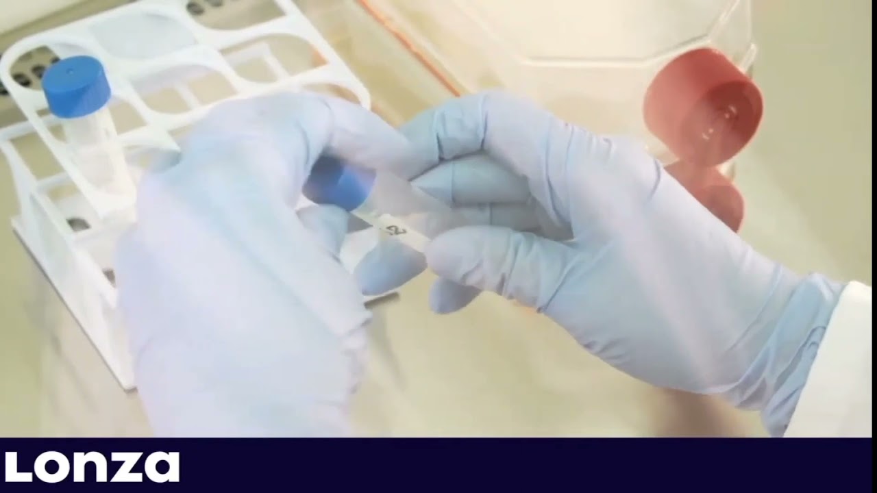 LONZA‼️MycoAlert Mycoplasma Detection Kit YouTube