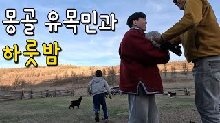 낭만가득한 외진 몽골 유목민 게르 체험해보기 - 몽골(3)